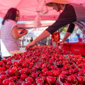 Solvang’s Farmers Market