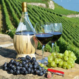 Wine in wineyard
