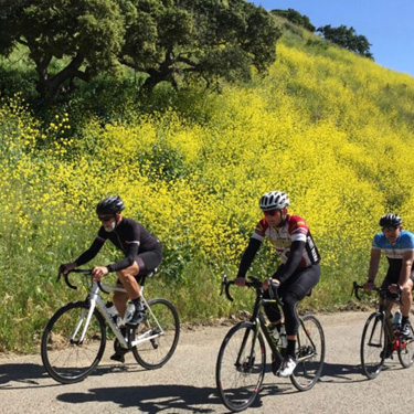 Solvang century bike ride