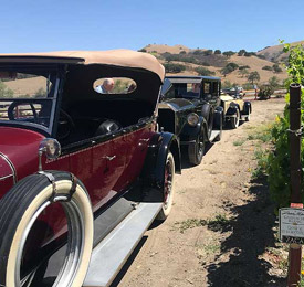 Classic cars zaca mesa winery